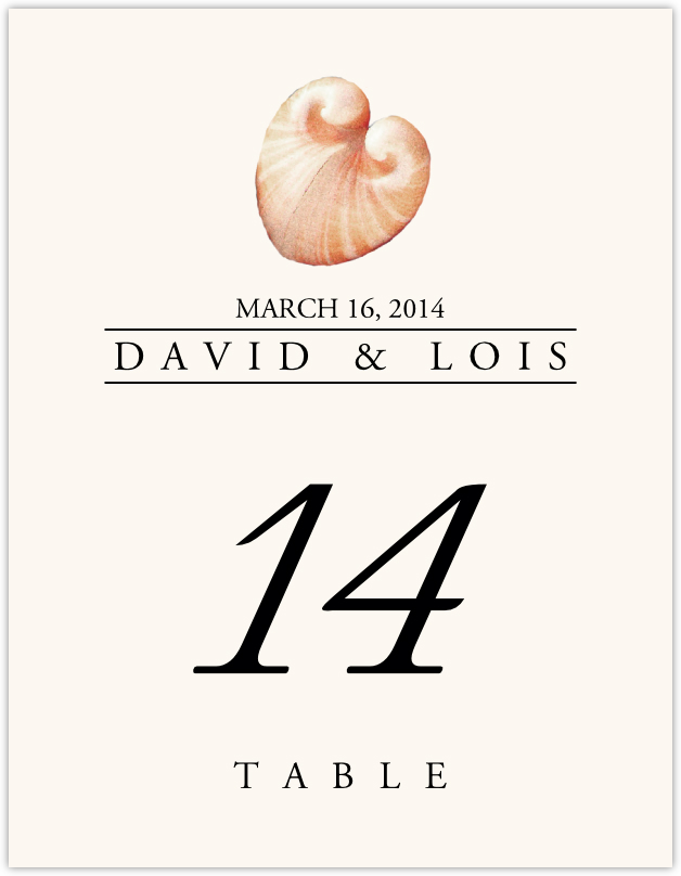 Seashell Assortment  Table Numbers