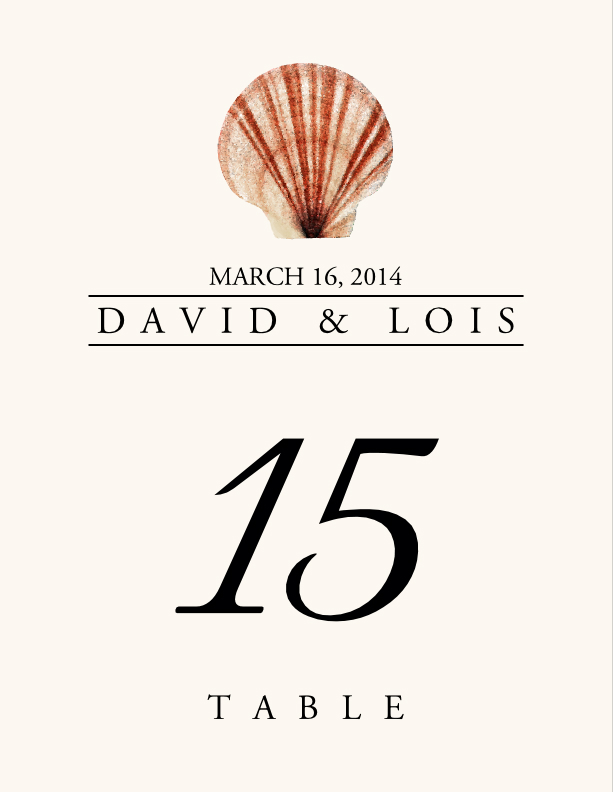 Seashell Assortment  Table Numbers