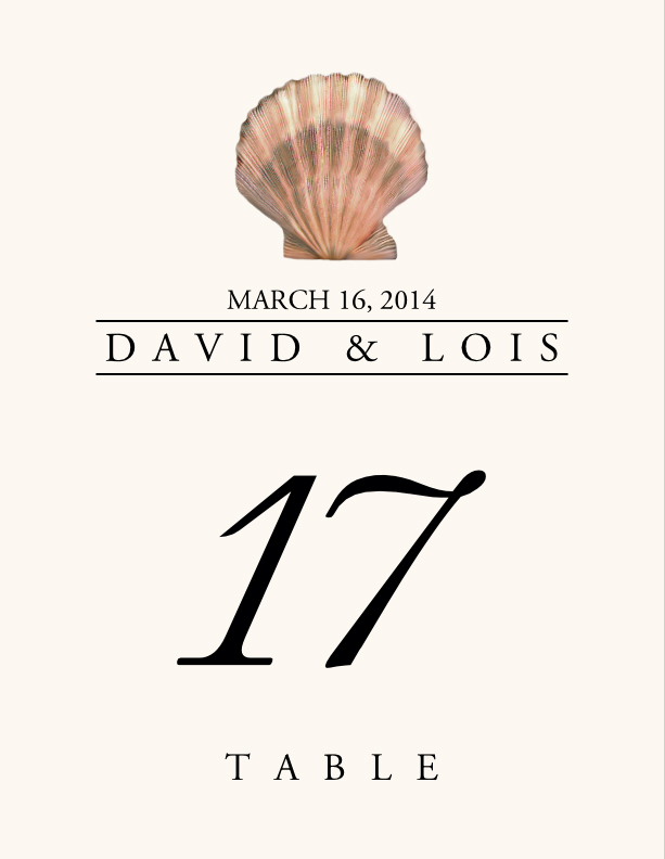 Seashell Assortment  Table Numbers