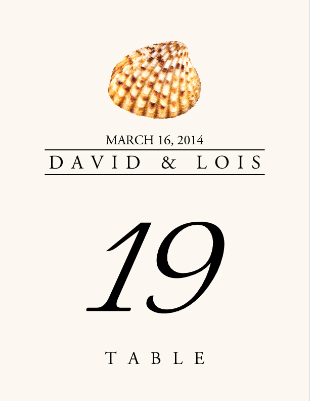 Seashell Assortment  Table Numbers