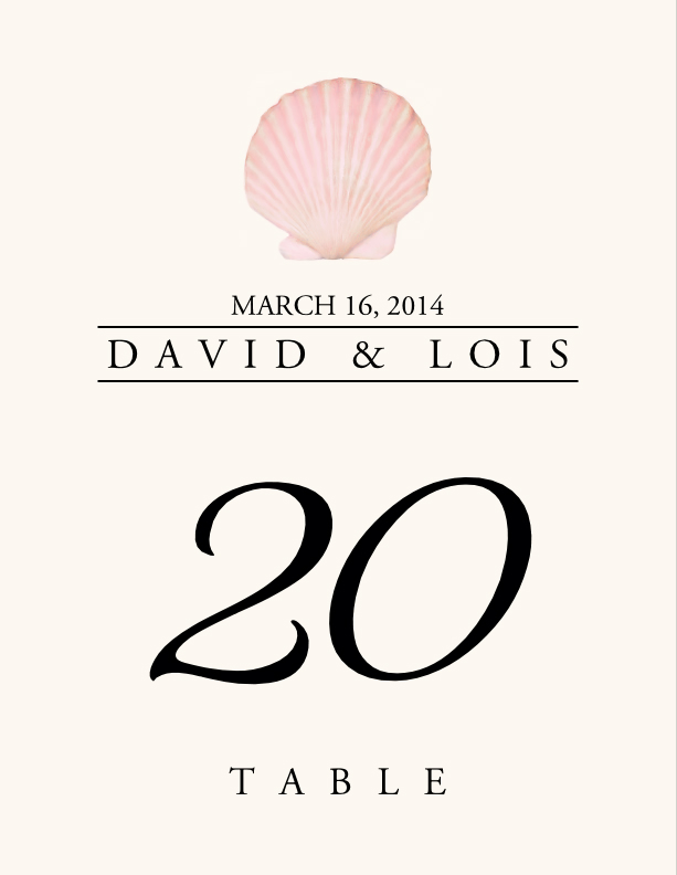 Seashell Assortment  Table Numbers