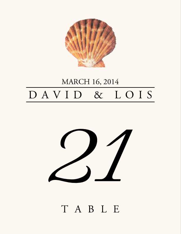 Seashell Assortment  Table Numbers