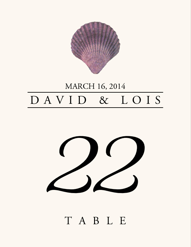 Seashell Assortment  Table Numbers