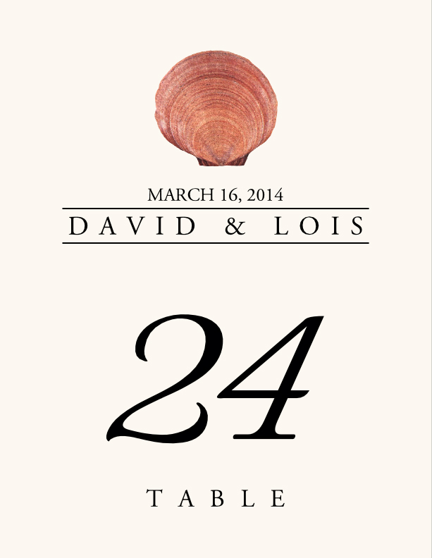 Seashell Assortment  Table Numbers