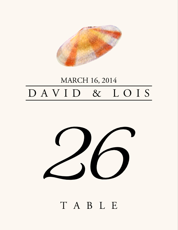 Seashell Assortment  Table Numbers