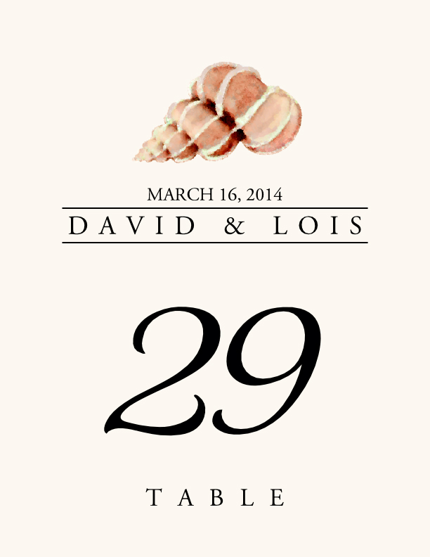 Seashell Assortment  Table Numbers