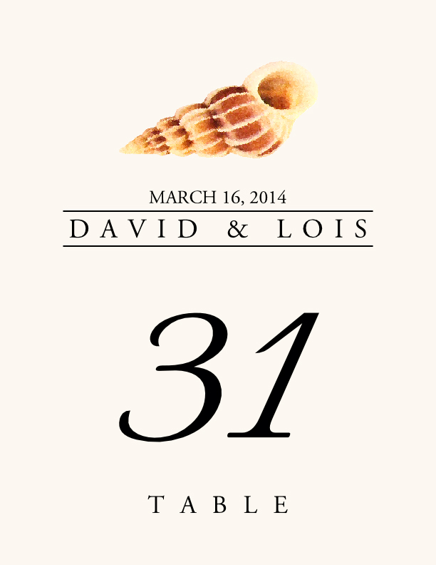 Seashell Assortment  Table Numbers