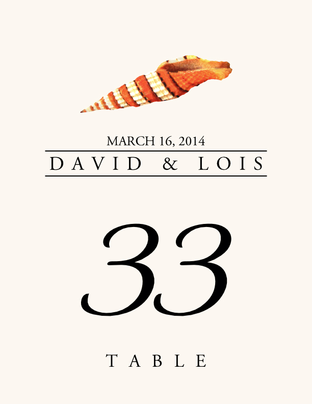 Seashell Assortment  Table Numbers