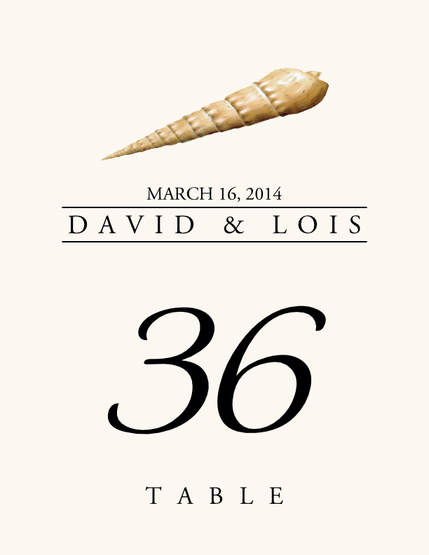 Seashell Assortment  Table Numbers