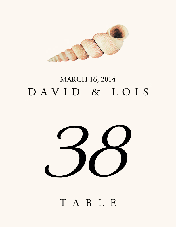 Seashell Assortment  Table Numbers