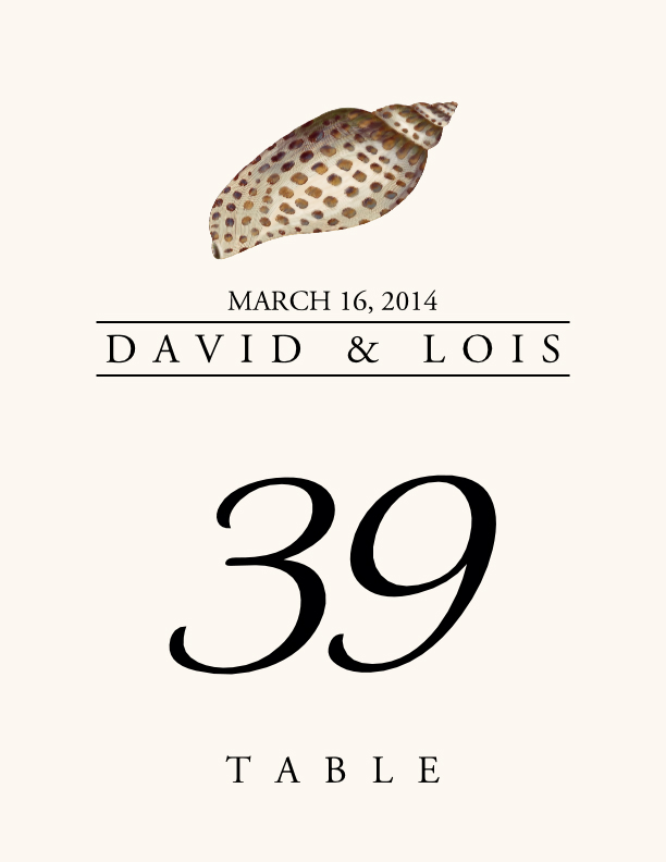 Seashell Assortment  Table Numbers