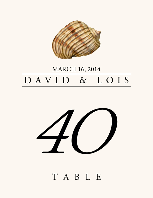 Seashell Assortment  Table Numbers