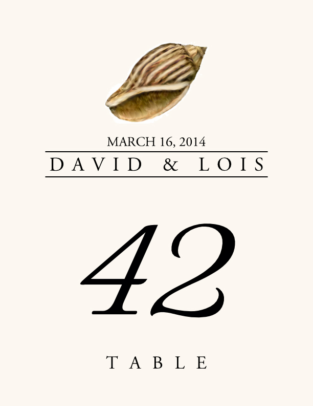 Seashell Assortment  Table Numbers