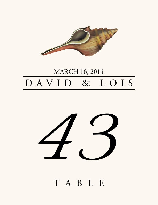 Seashell Assortment  Table Numbers