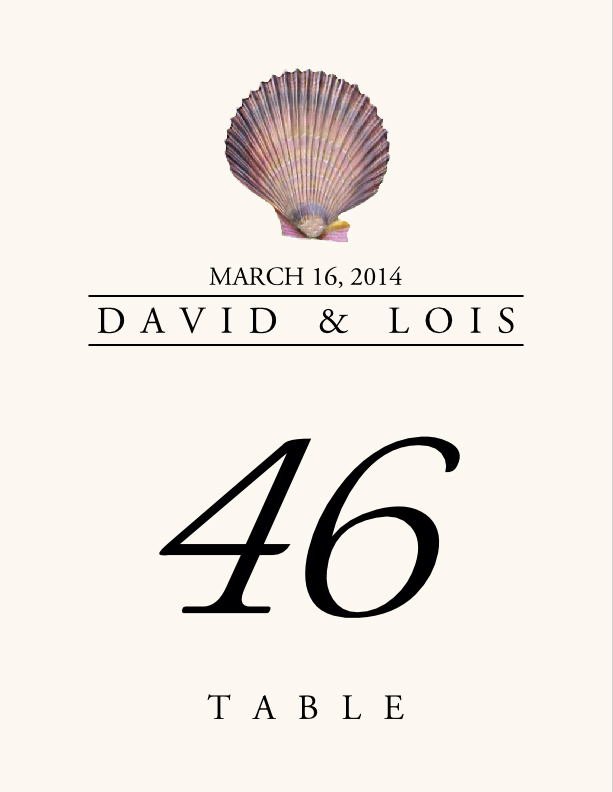 Seashell Assortment  Table Numbers