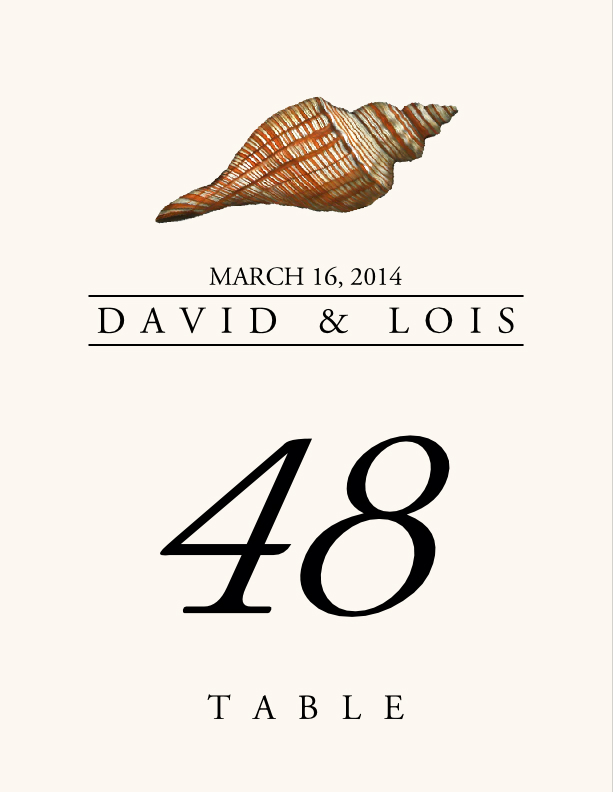 Seashell Assortment  Table Numbers