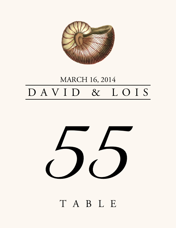 Seashell Assortment  Table Numbers