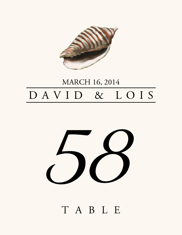 Seashell Assortment  Table Numbers
