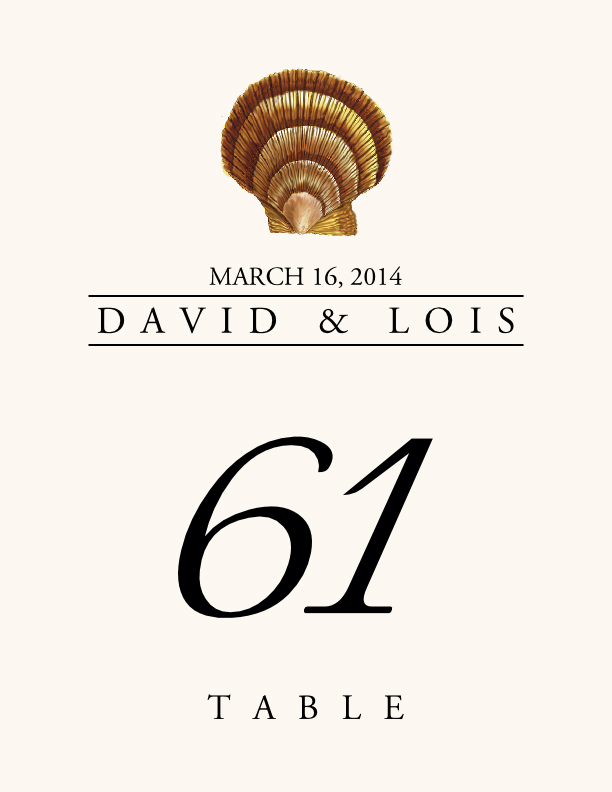 Seashell Assortment  Table Numbers