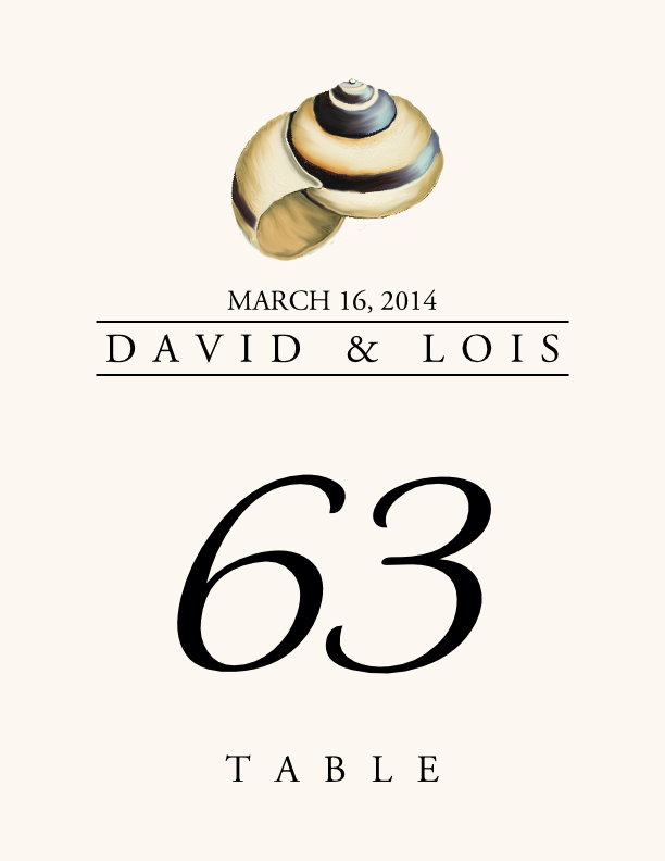 Seashell Assortment  Table Numbers