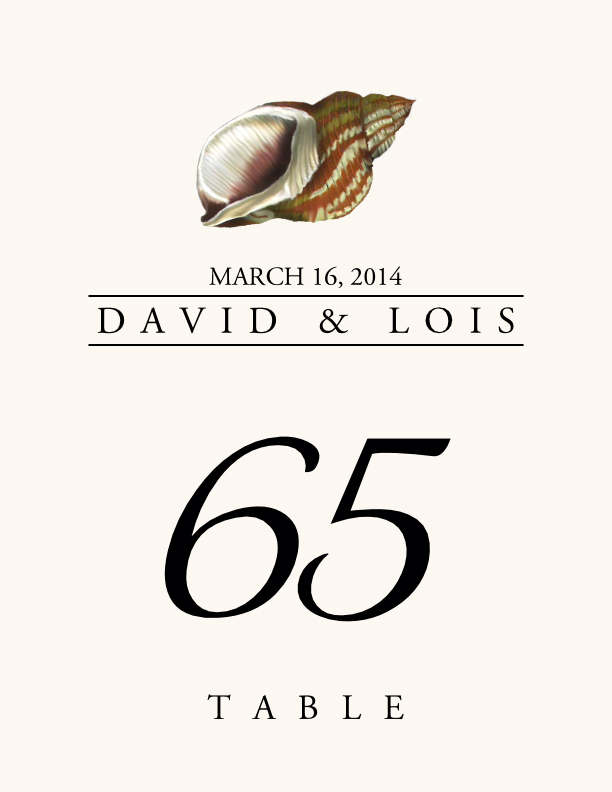 Seashell Assortment  Table Numbers