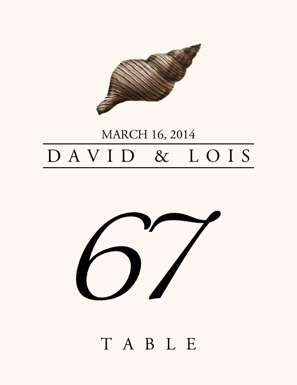 Seashell Assortment  Table Numbers
