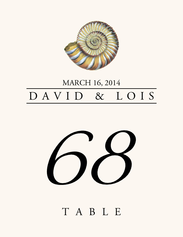 Seashell Assortment  Table Numbers