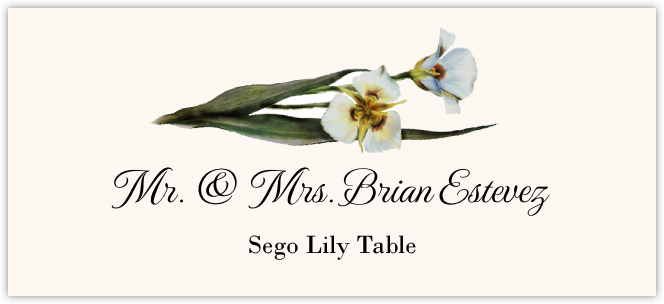 Sego Lily  Place Cards