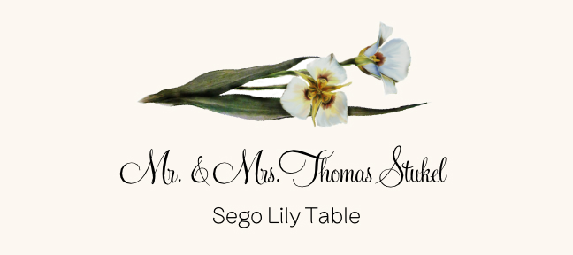Assorted Flowers  Place Cards