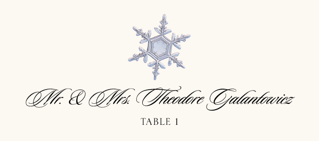 Snowflake Assortment  Place Cards