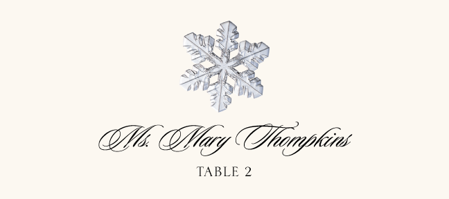 Snowflake Assortment  Place Cards