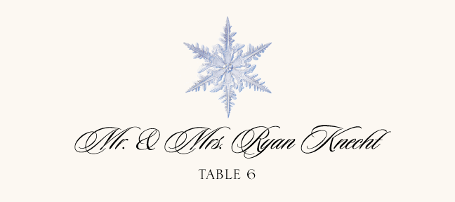 Snowflake Assortment  Place Cards