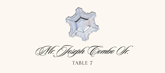 Snowflake Assortment  Place Cards