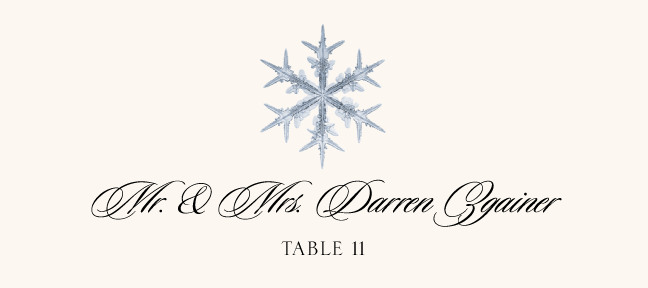 Snowflake Assortment  Place Cards