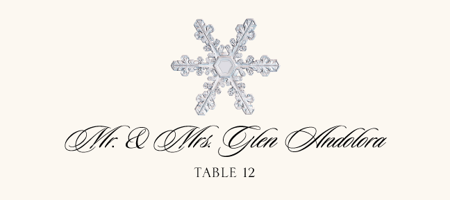 Snowflake Assortment  Place Cards