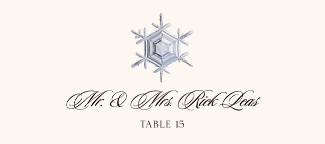 Snowflake Assortment  Place Cards