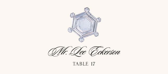 Snowflake Assortment  Place Cards