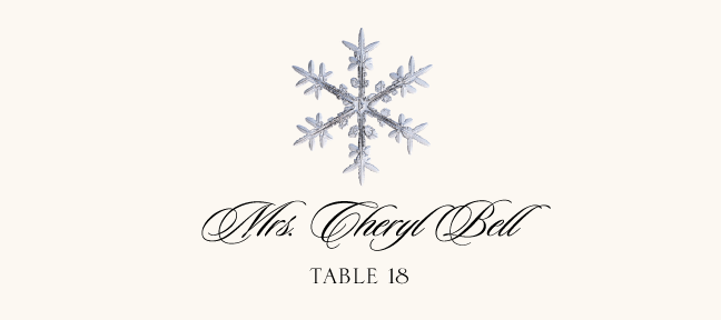 Snowflake Assortment  Place Cards
