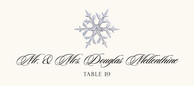 Snowflake Assortment  Place Cards