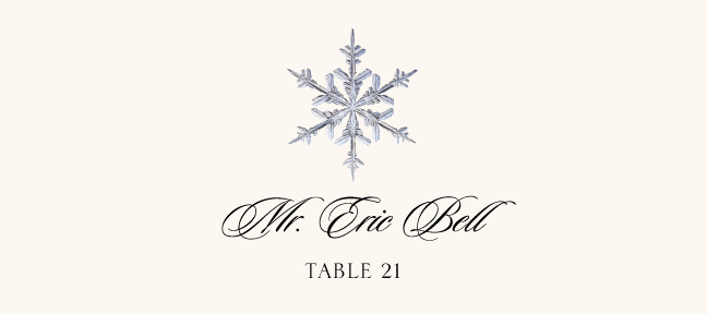 Snowflake Assortment  Place Cards