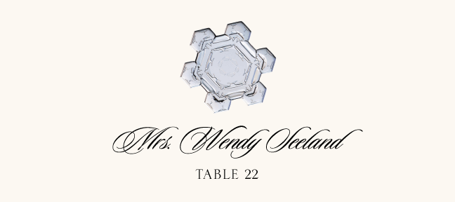 Snowflake Assortment  Place Cards