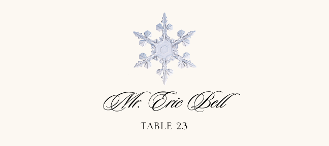 Snowflake Assortment  Place Cards