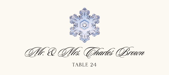 Snowflake Assortment  Place Cards