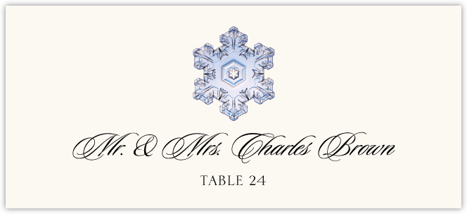 Snowflake Assortment  Place Cards