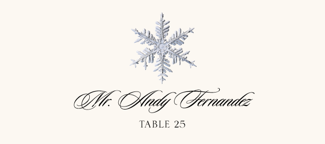 Snowflake Assortment  Place Cards