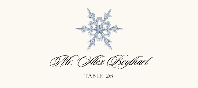 Snowflake Assortment  Place Cards