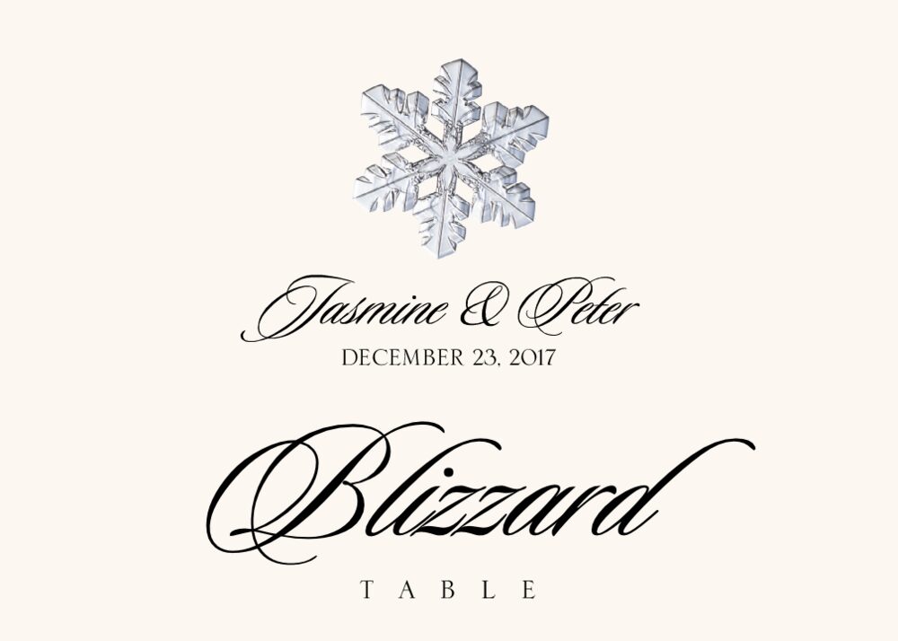 Snowflake Assortment  Table Names