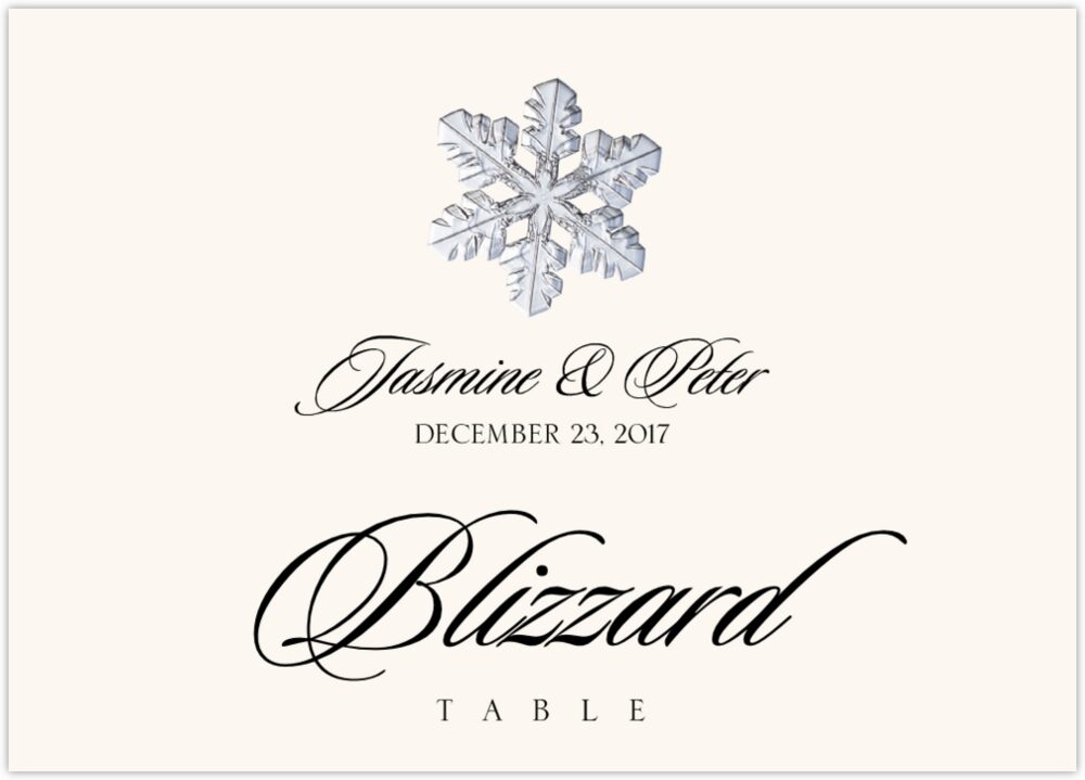 Snowflake Assortment  Table Names