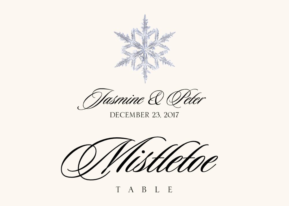 Snowflake Assortment  Table Names