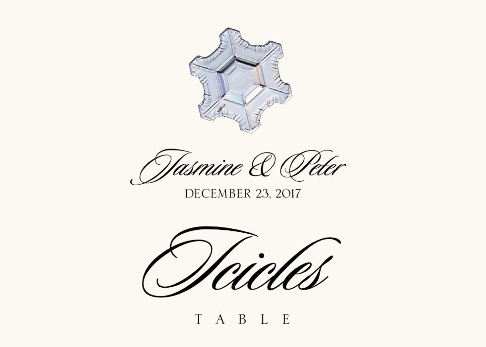 Snowflake Assortment  Table Names